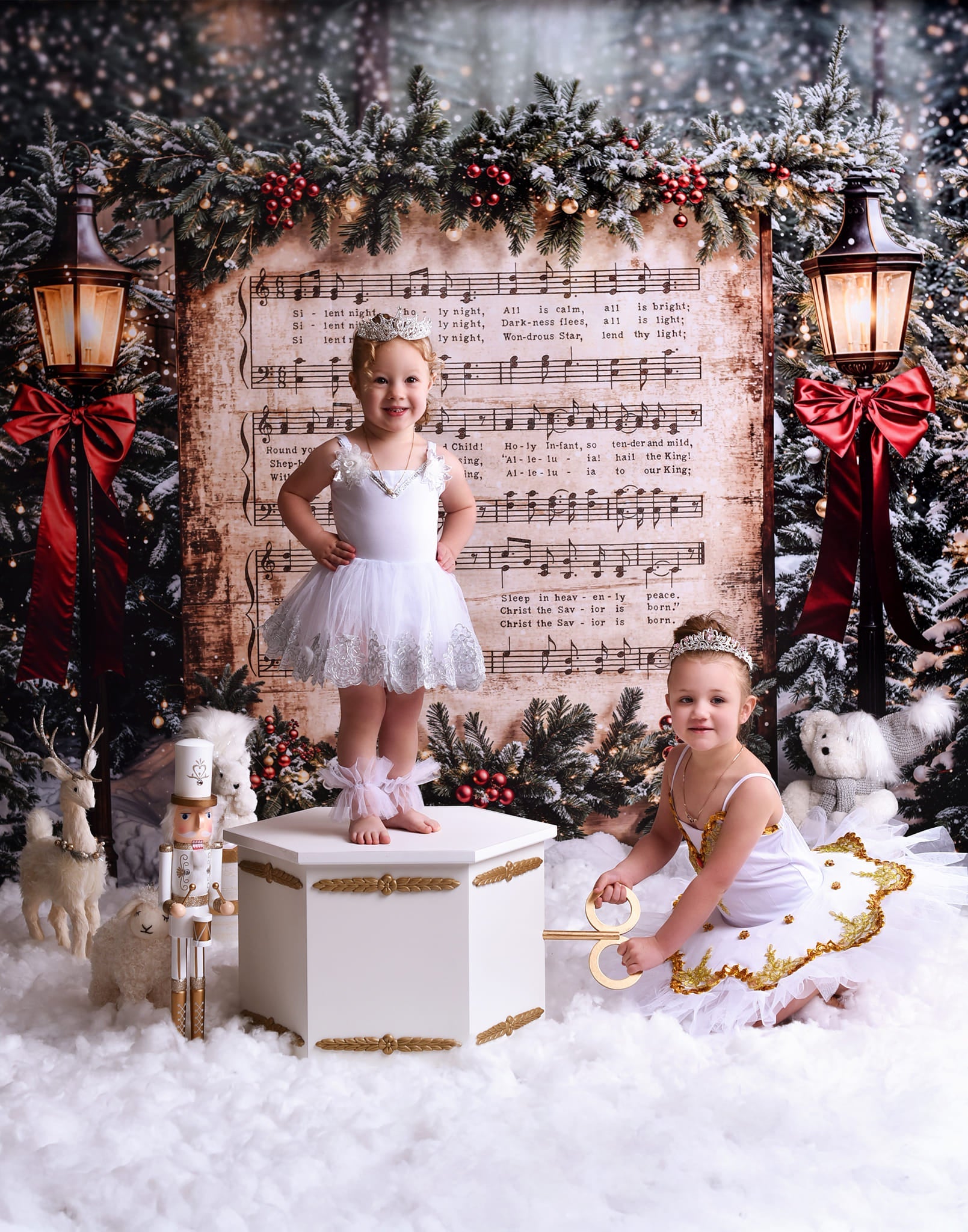 Joy To The World-Fotohintergrund Verschneite Weihnachtslieder Musik Weihnachts-Fotohintergrund MRR9-24