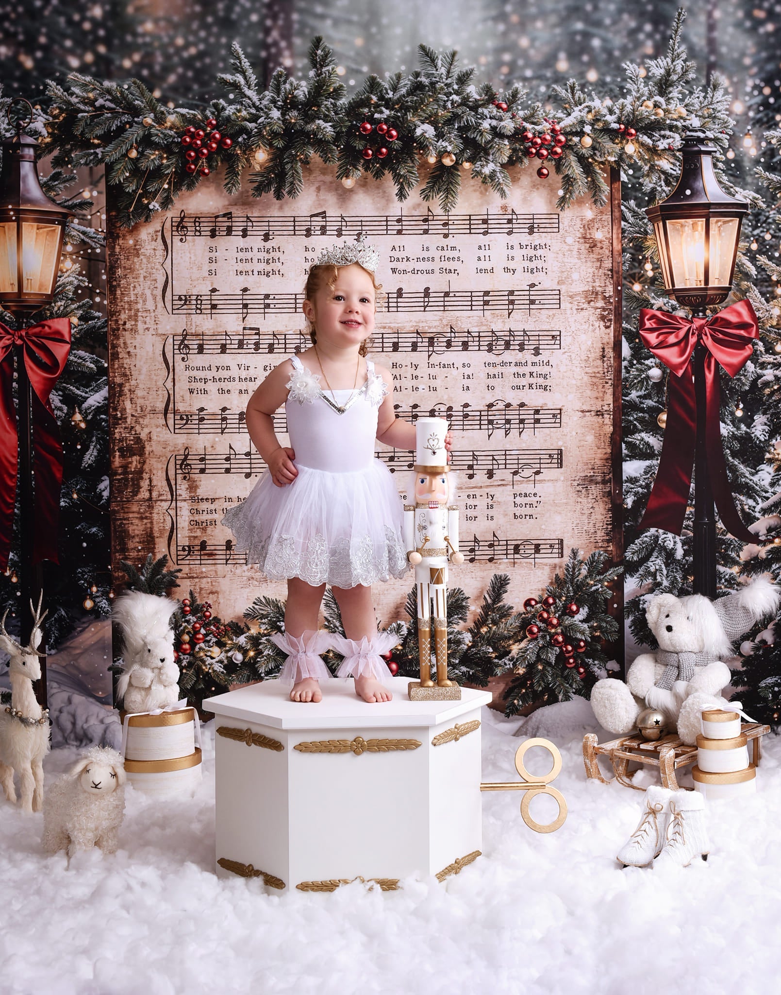 Joy To The World-Fotohintergrund Verschneite Weihnachtslieder Musik Weihnachts-Fotohintergrund MRR9-24
