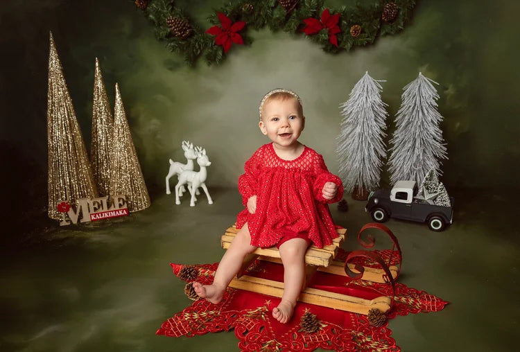 Vintage-Fotohintergrund Weihnachtsgirlande Tannenzapfen Vintage-Foto-Fotohintergrund MRR9-33