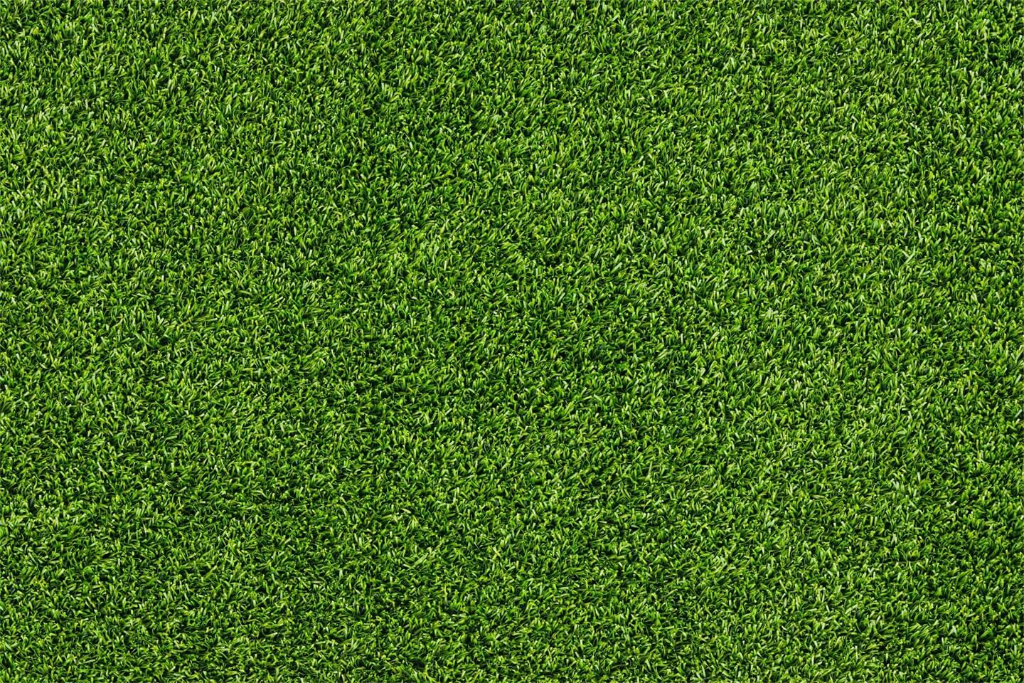 Frühlingsgrünes Gras Gummibodenmatte für die Fotografie RM12-53