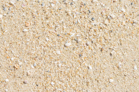 Strand mit Muscheln und kleinen Kieselsteinen Gummibodenmatte für die Fotografie RM12-67