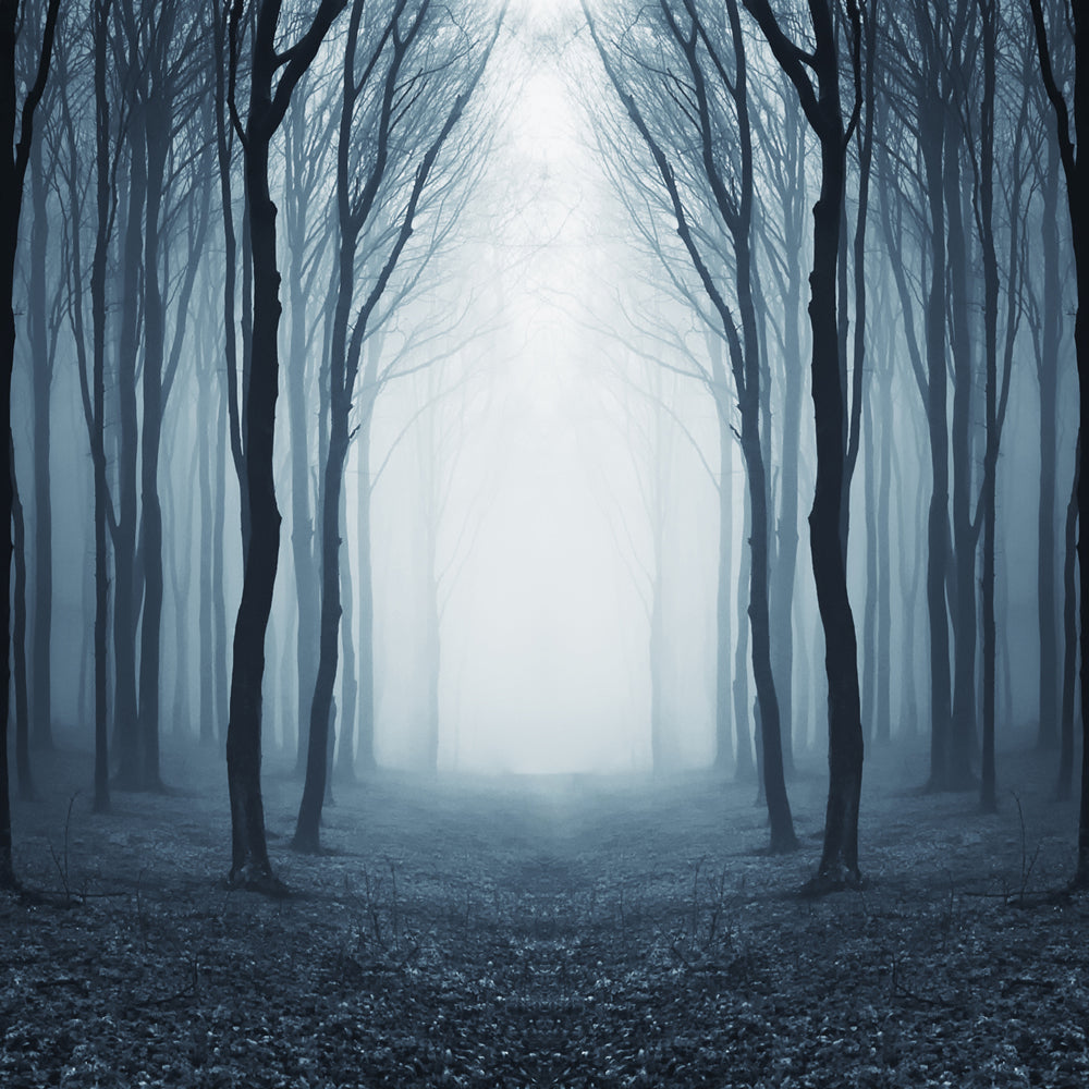 Halloween Nacht Spooky Gates Wald Hintergrund Zimmerset ROOM10