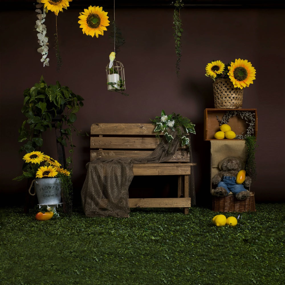 Sommer Sonnenblumenbank Zitrone Backdrop RR3-20