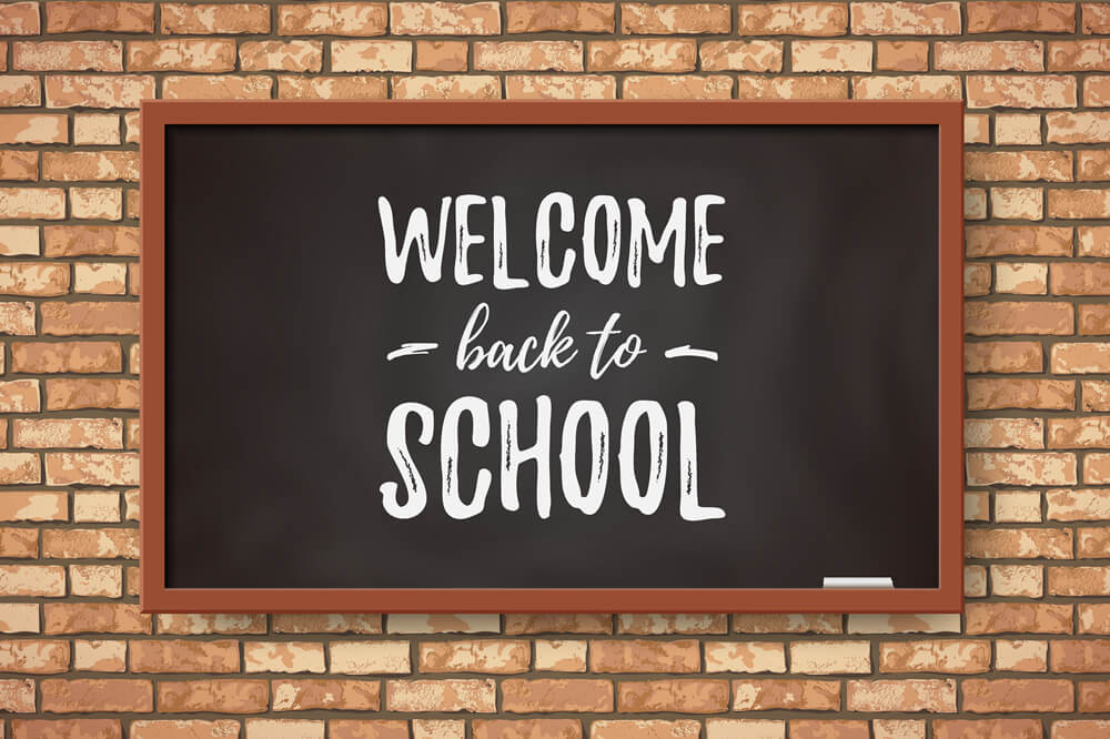 Welcome Back to School Kreidetafel Fotografie Hintergrund RR6-28