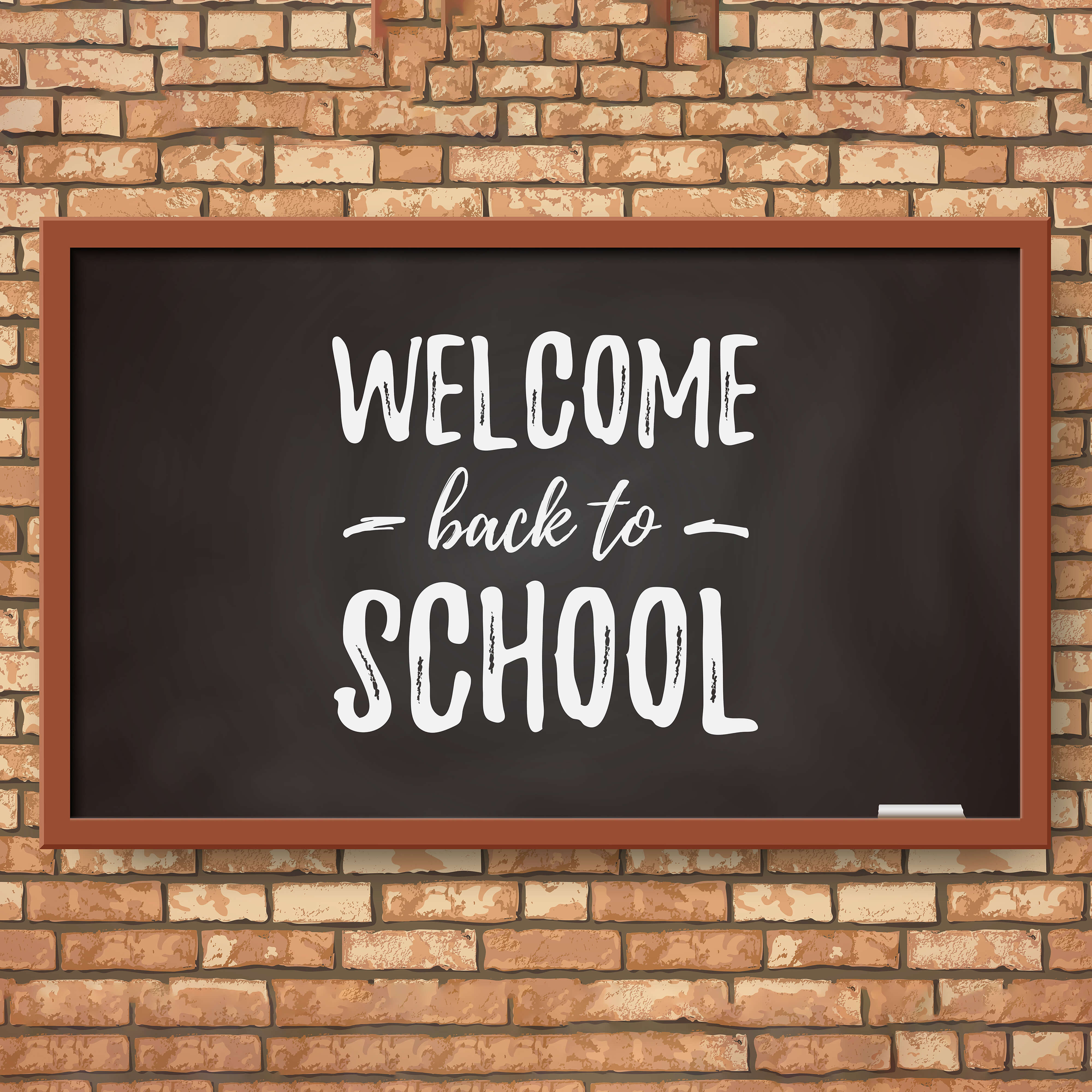 Welcome Back to School Kreidetafel Fotografie Hintergrund RR6-28