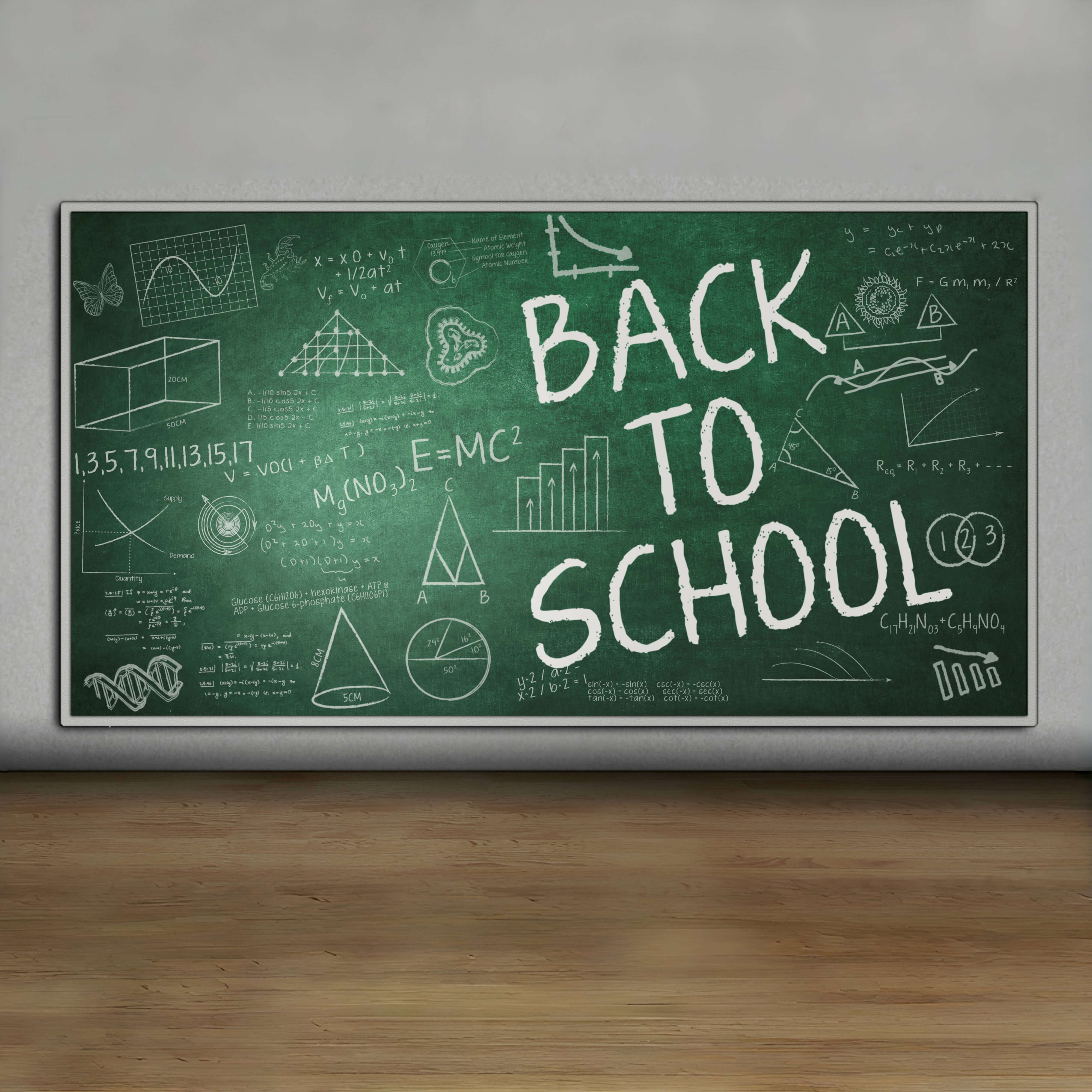 Back to School Kreidetafel Fotografie Hintergrund RR6-42