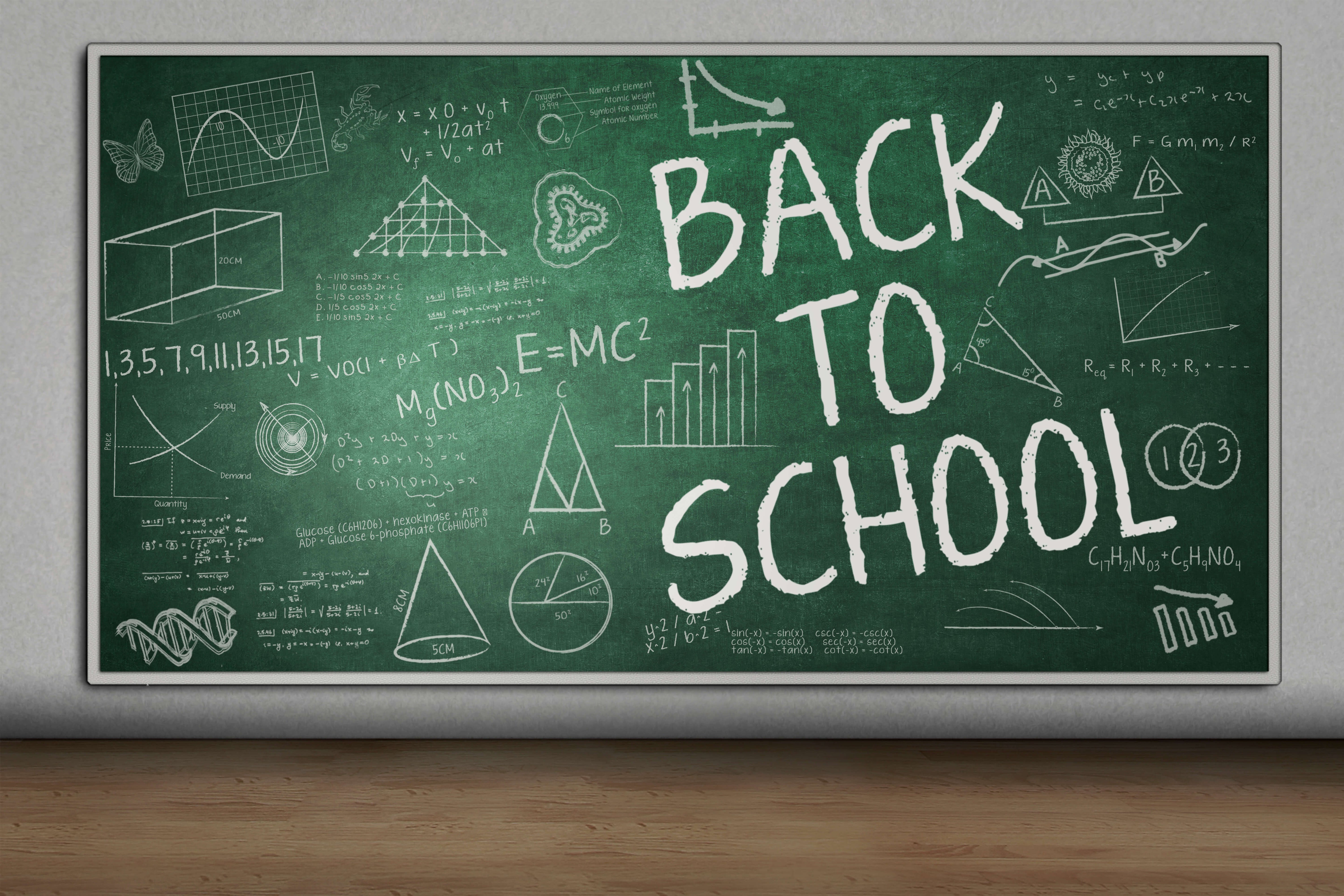 Back to School Kreidetafel Fotografie Hintergrund RR6-42