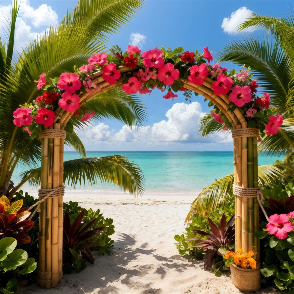 Hintergrund für Strandfotos Tropischer Hibiskusblütenbogen Sommer-Hintergründe für Fotos RR61-28