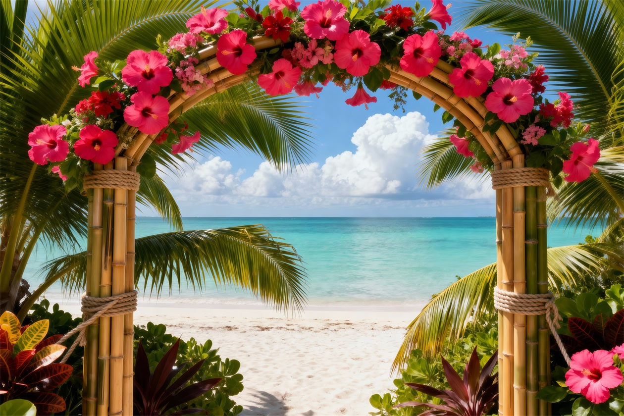Hintergrund für Strandfotos Tropischer Hibiskusblütenbogen Sommer-Hintergründe für Fotos RR61-28