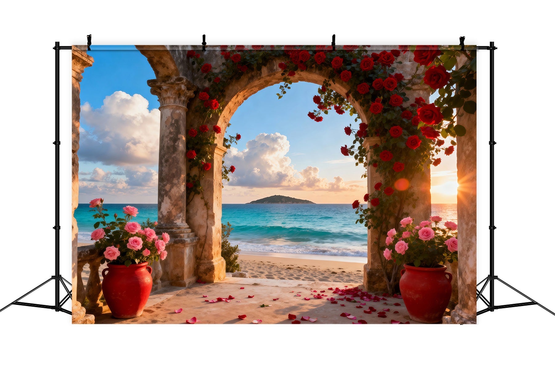 Strandhintergründe Romantischer Rosenbogen Ozean Sommer-Foto-Hintergrund RR61-30