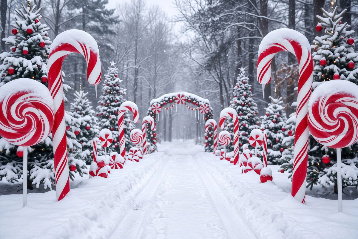Weihnachtlicher Zuckerstangen-Hintergrund Verschneiter Waldweg RR610-126