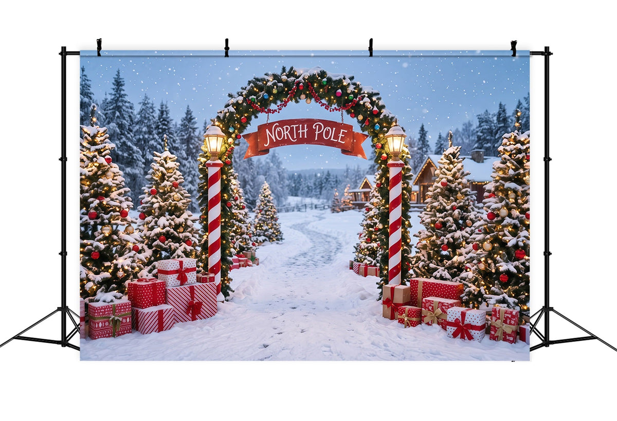 Nordpol-Fotohintergrund Verschneiter Dorfeingang Professionelle Weihnachtsfotografie RR610-141