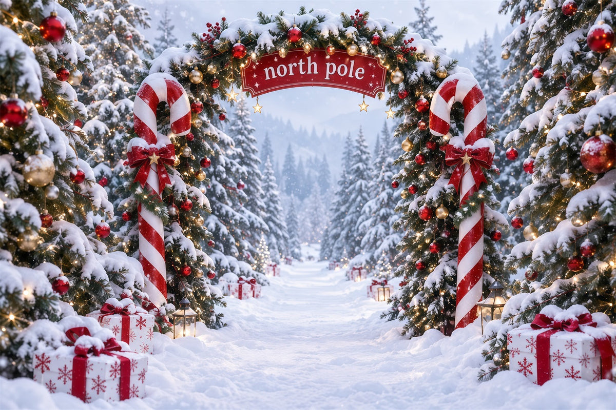 Nordpol Fotohintergrund Zuckerstangen Nordpol Winterlandschaft RR610-173