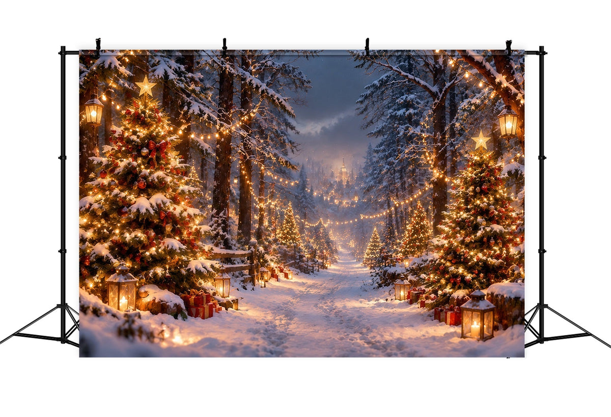 Weihnachtsbaumfarm Fotohintergrund Verschneiter Leuchtender Waldweg RR610-181