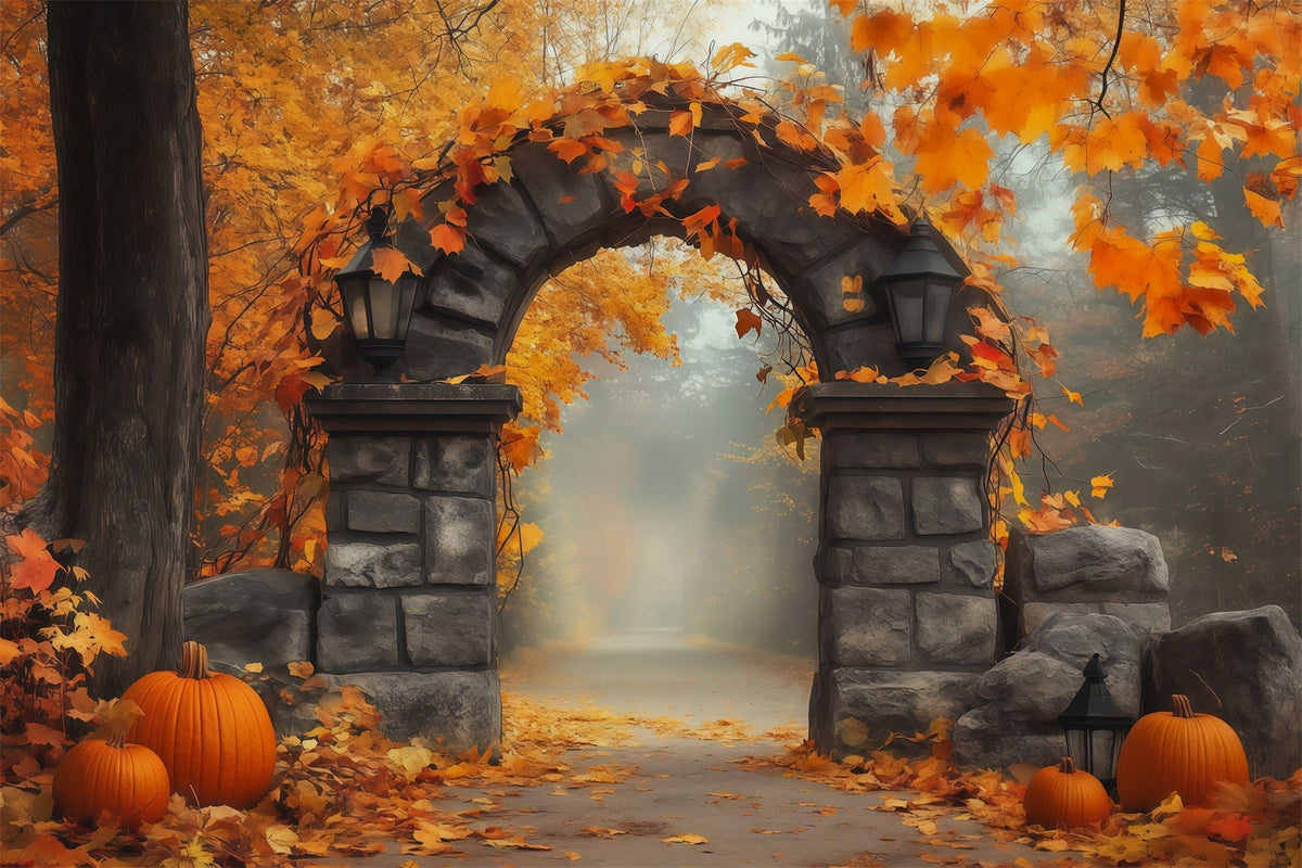Herbstliche Kulisse Mit Kürbissen Und Blättern Steintor-Fotografie-Hintergründe Halloween RR67-200