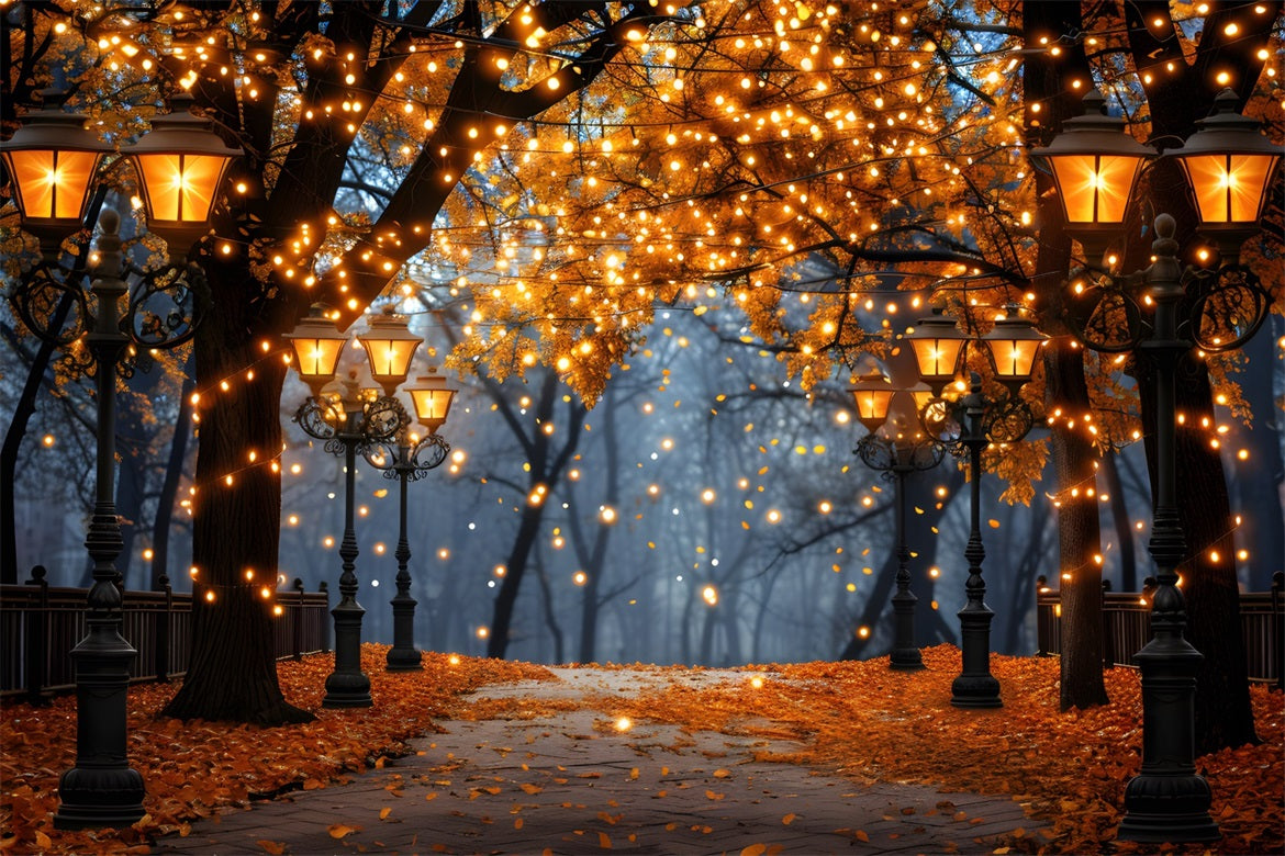 Verwunschener Herbstspaziergang mit lampenbeleuchteten Bäumen RR7-349