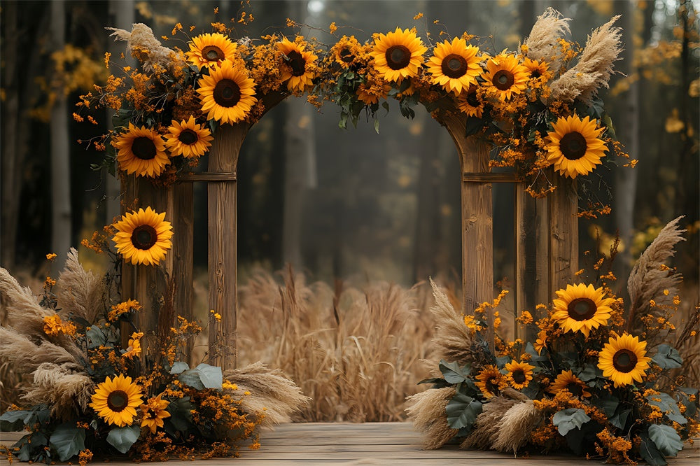 Sonnenblumen Bogen Tür Herbst Fotografie Hintergrund RR9-28