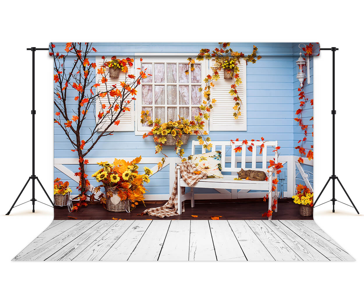 Fensterhintergründe Ahornblatt-Fotografie-Hintergründe Blaue Hintergründe S-3066