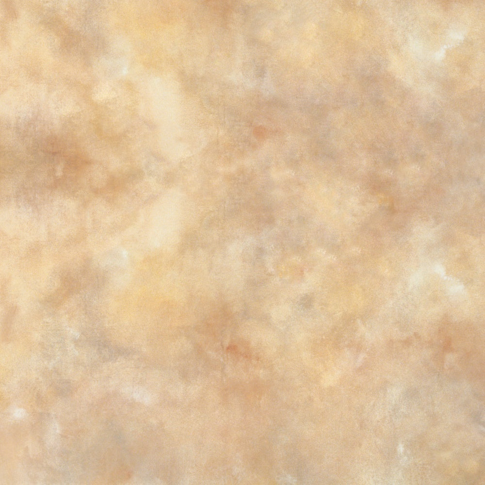 3x3m Backdrop Stoff Klassischer Portrait Hintergrund für Fotografie SXS7