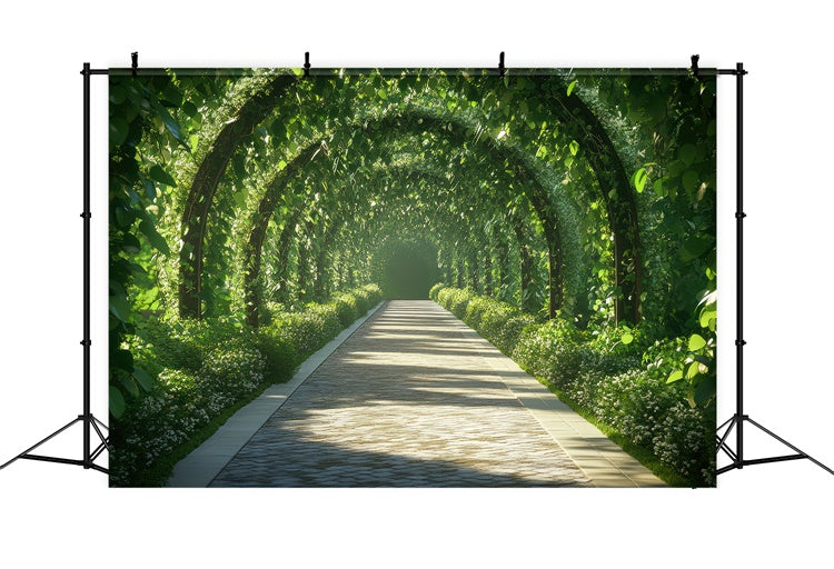 Frühling Fotohintergrund Ruhiger Laubbogenweg Hintergrund TWW2-31
