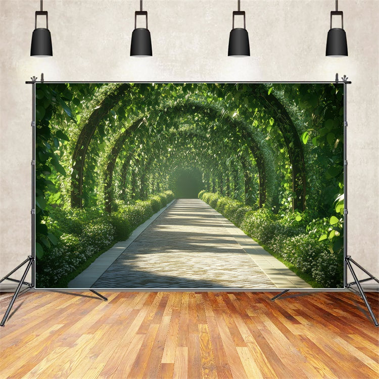 Frühling Fotohintergrund Ruhiger Laubbogenweg Hintergrund TWW2-31