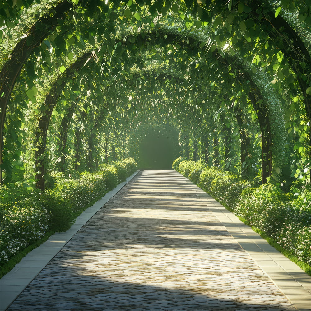 Frühling Fotohintergrund Ruhiger Laubbogenweg Hintergrund TWW2-31