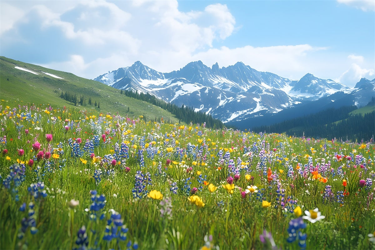 Frühlings-Hintergrundbilder Wildblumen-Wiese Bergblick Hintergrund TWW2-32