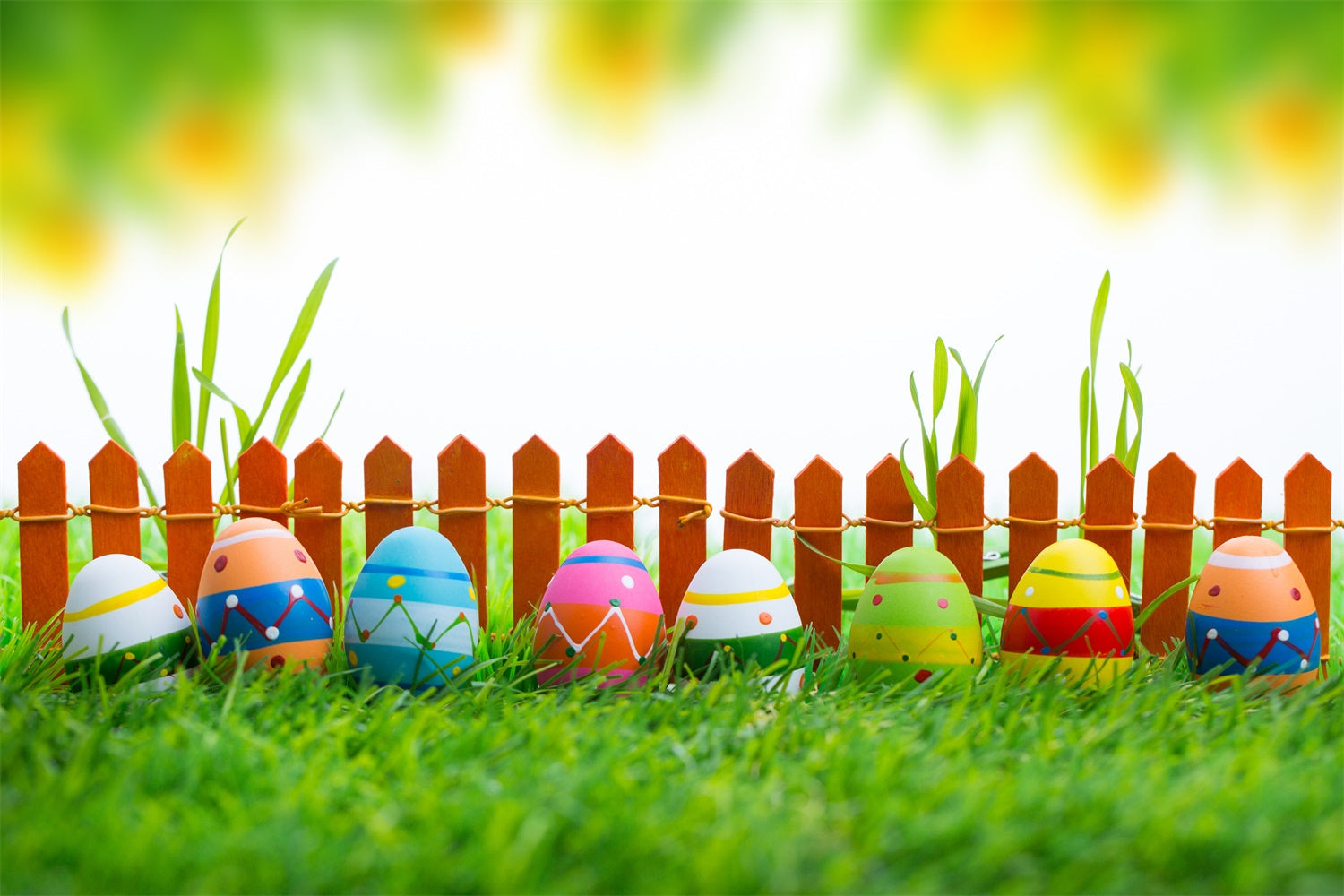 Ostern Fotohintergrund Lebendige bemalte Eier Display-Hintergrund TWW3-19