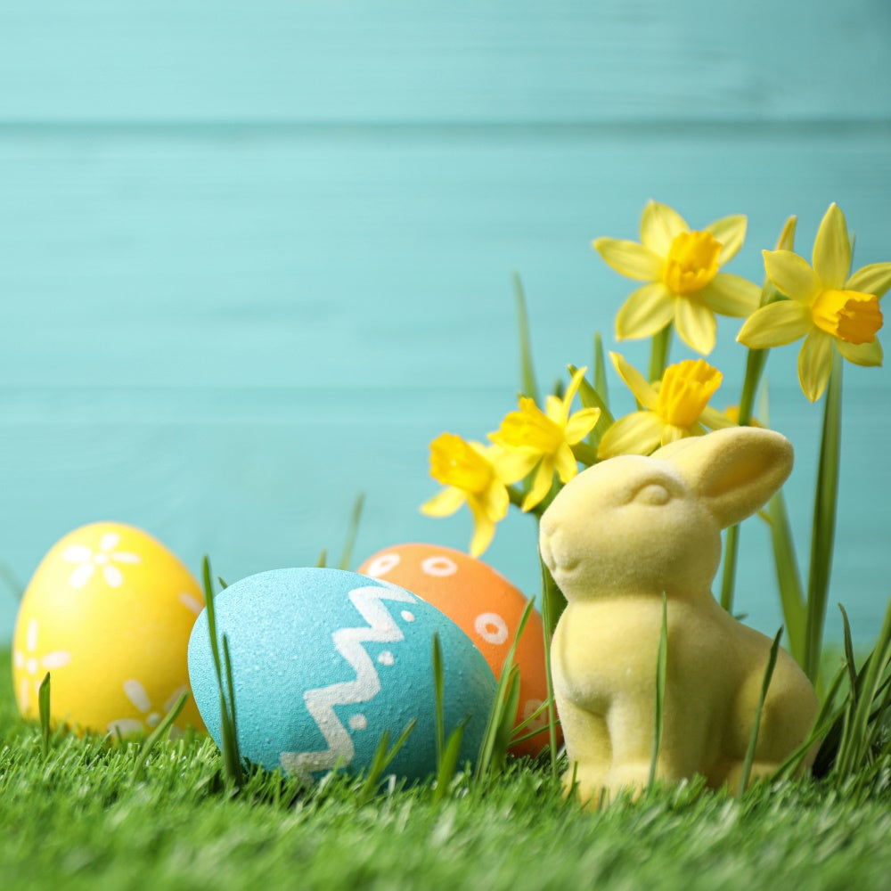 Osterei Backdrop Hase Narzissenfeld Backdrop TWW3-27