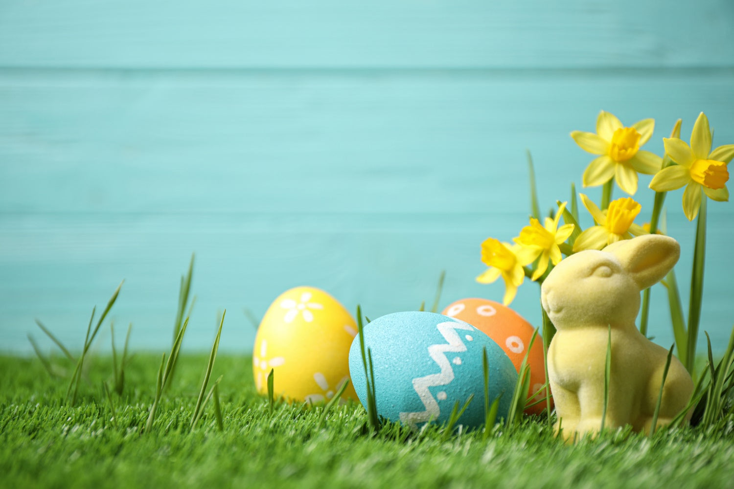 Osterei Backdrop Hase Narzissenfeld Backdrop TWW3-27