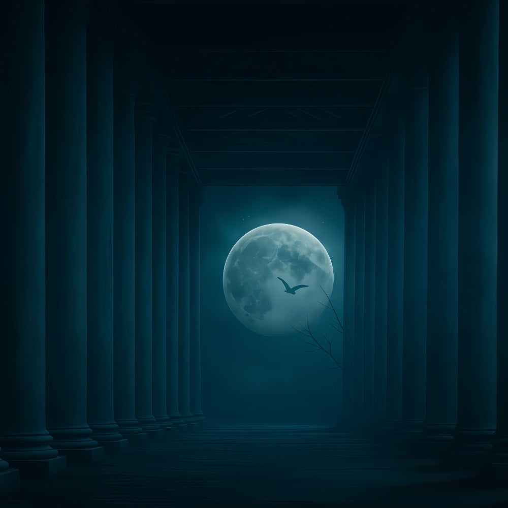 Halloween-Mond-Hintergrund Mondbeschienene S?ulen Dunkler Korridor Halloween-Hintergrund TWW510-31