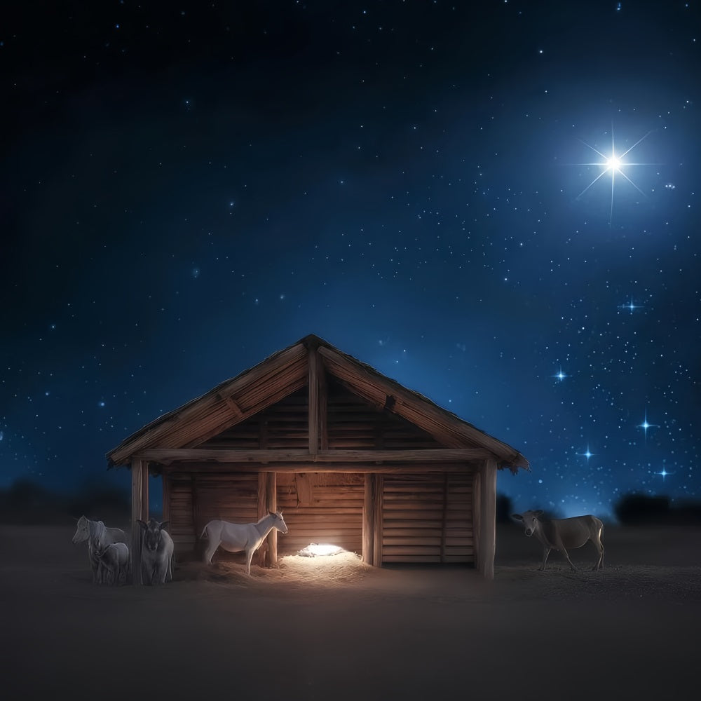 Krippen-Hintergrund Stille Nacht Krippe Leuchten Weihnachtshintergrund-Ideen TWW510-77