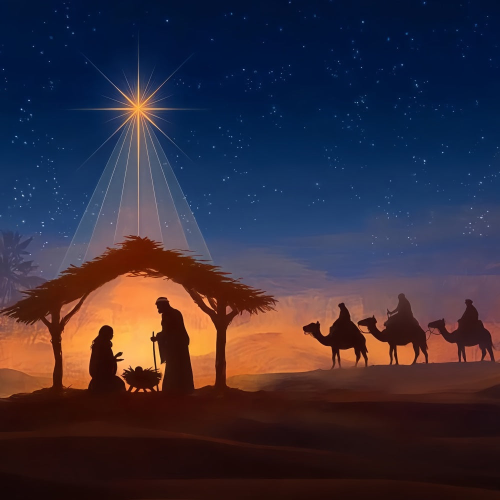 Krippen-Hintergrund Bethlehem-Stern Nachtreise Weihnachts-Hintergrund TWW510-88