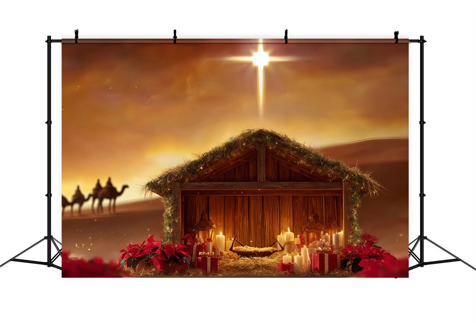 Krippen-Hintergrund Krippenstern W¨¹stengl¨¹hen Weihnachtsfoto-Hintergr¨¹nde TWW510-91