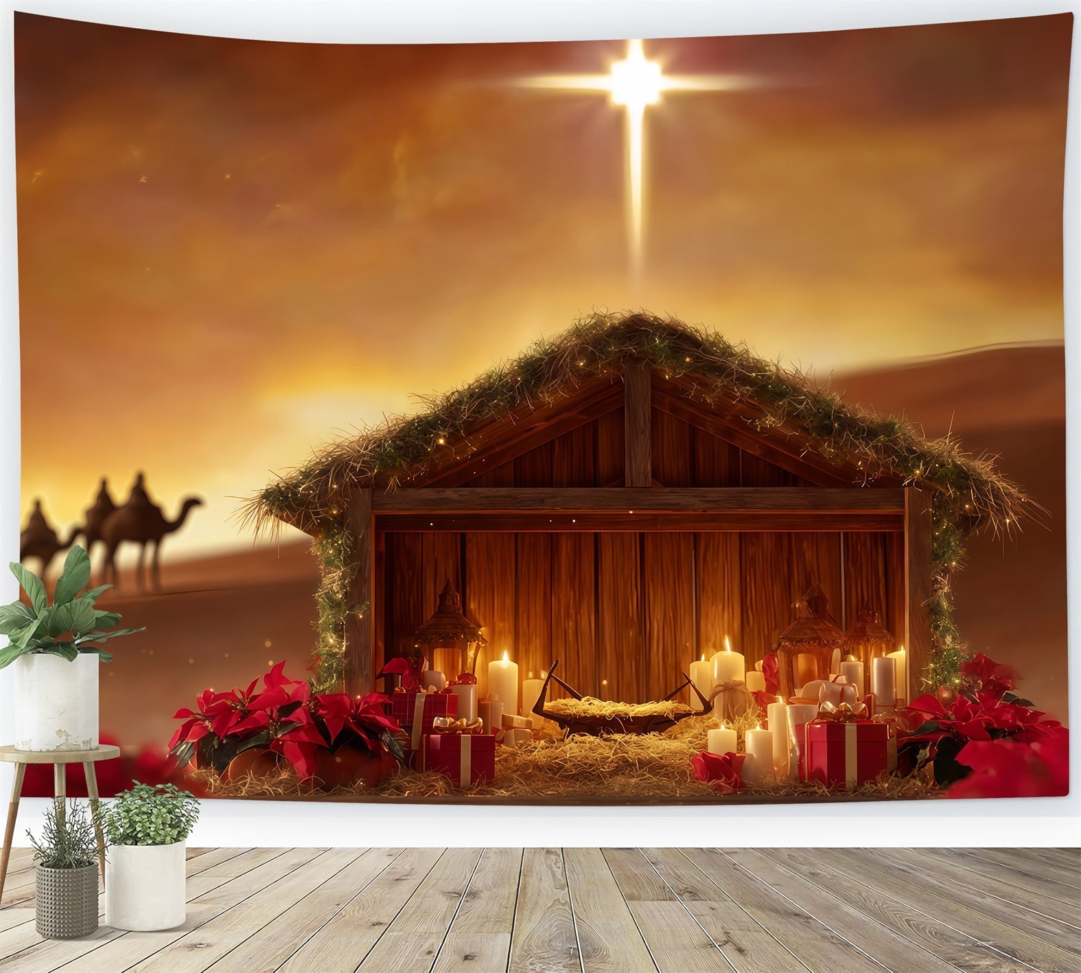 Krippen-Hintergrund Krippenstern W¨¹stengl¨¹hen Weihnachtsfoto-Hintergr¨¹nde TWW510-91
