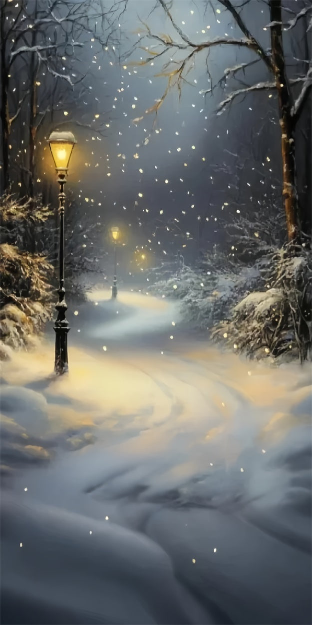 Winter Forest Backdrop Schneefall Laterne Pfad Sweep Backdrop TWW57-85