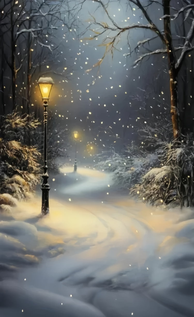 Winter Forest Backdrop Schneefall Laterne Pfad Sweep Backdrop TWW57-85