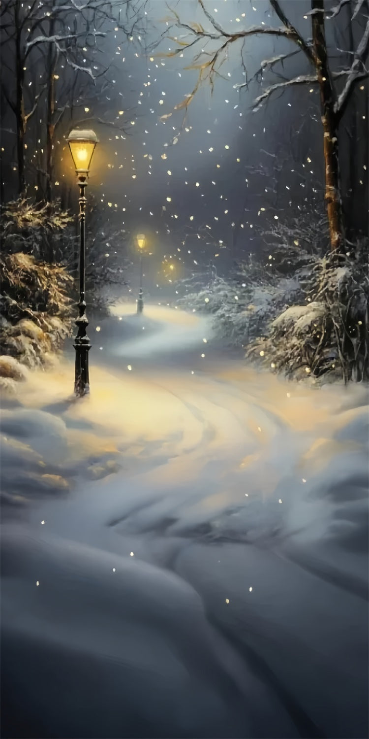 Winter Forest Backdrop Schneefall Laterne Pfad Sweep Backdrop TWW57-85