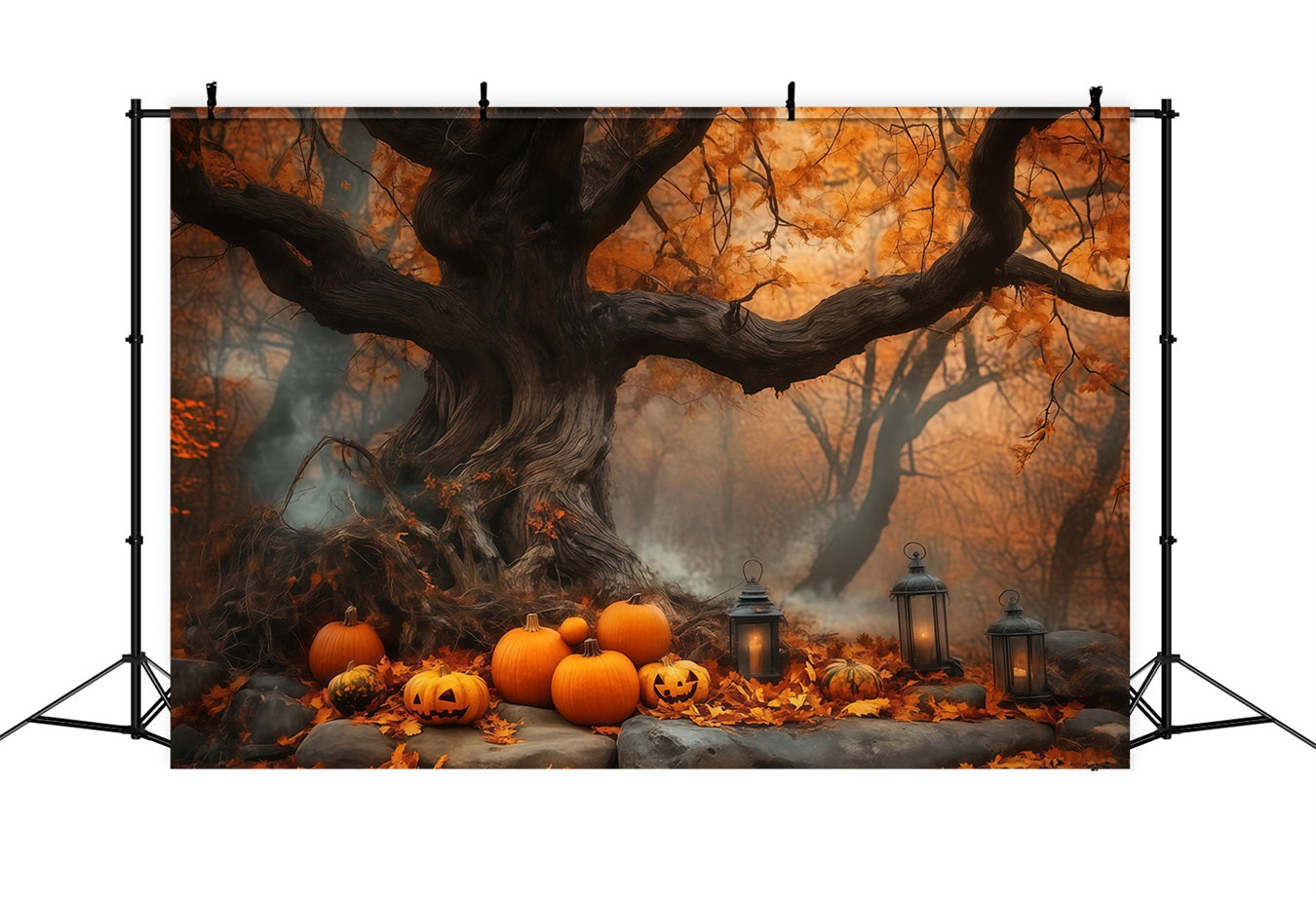 Halloween-Kürbisfeld unter altem Herbstbaum Halloween-Fotohintergrundkulissen TWW58-7