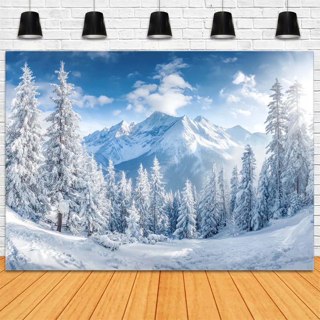 Verschneiter Waldfotohintergrund Winterberge Kieferntal Waldfotohintergrund TWW59-153