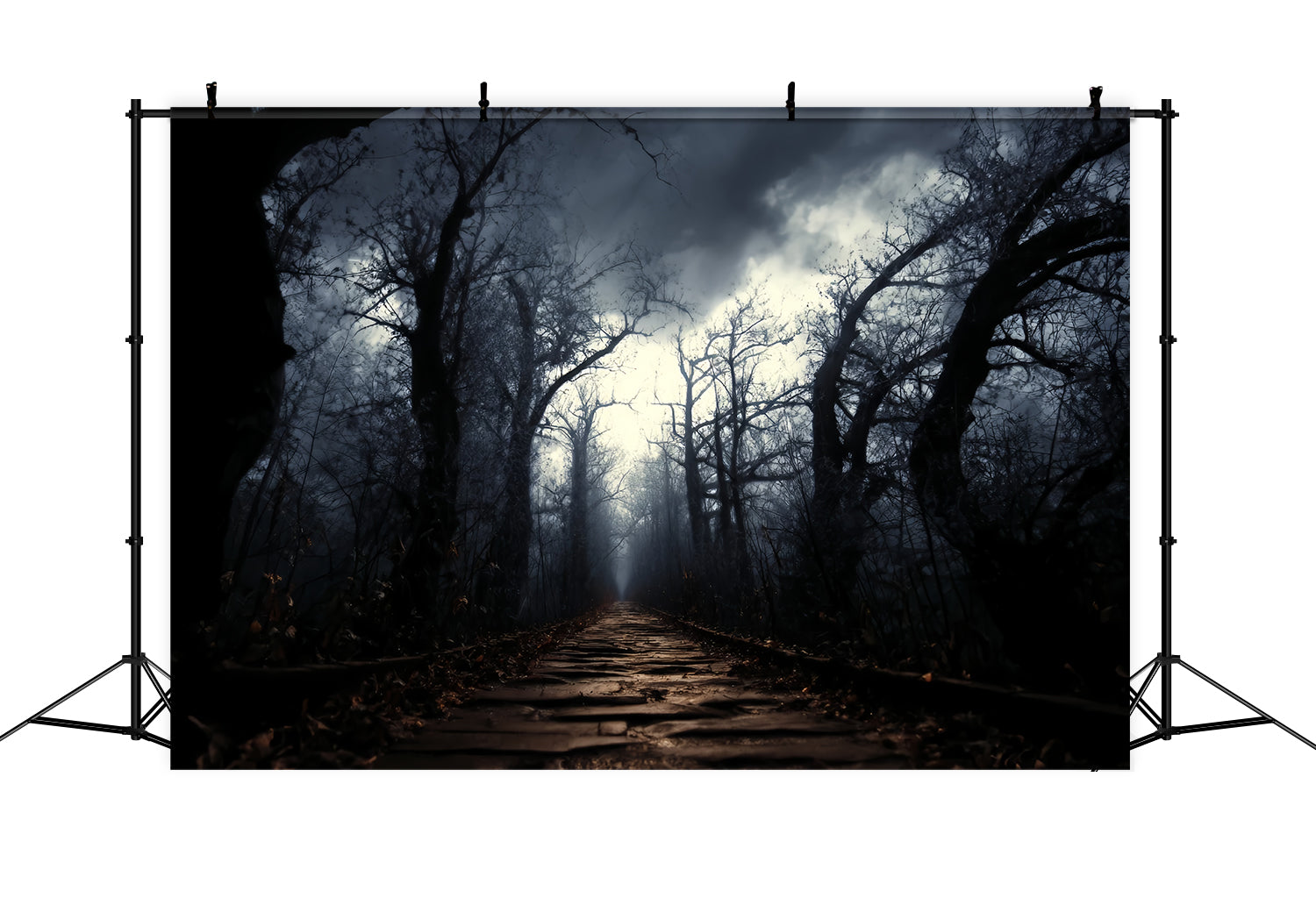 Gruseliger Wald-Fotohintergrund Dunkler, verwunschener Pfad Nebel Dunkler Wald-Fotohintergrund TWW59-159