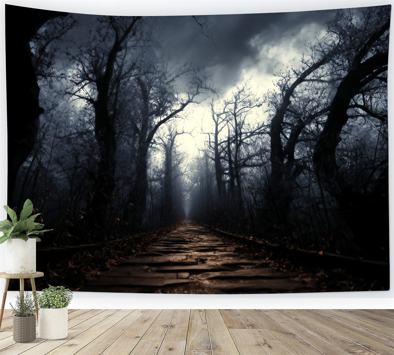 Gruseliger Wald-Fotohintergrund Dunkler, verwunschener Pfad Nebel Dunkler Wald-Fotohintergrund TWW59-159