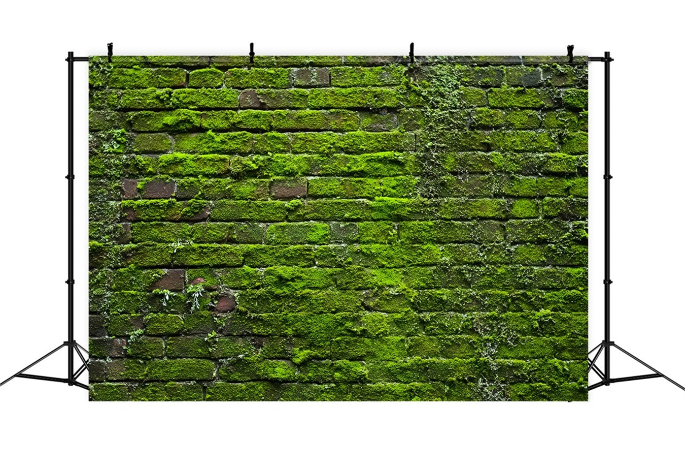Ziegelsteinwand-Studiohintergründe Grünes Moos Vintage-Wand Ziegelstein-Fotohintergrund TWW59-185