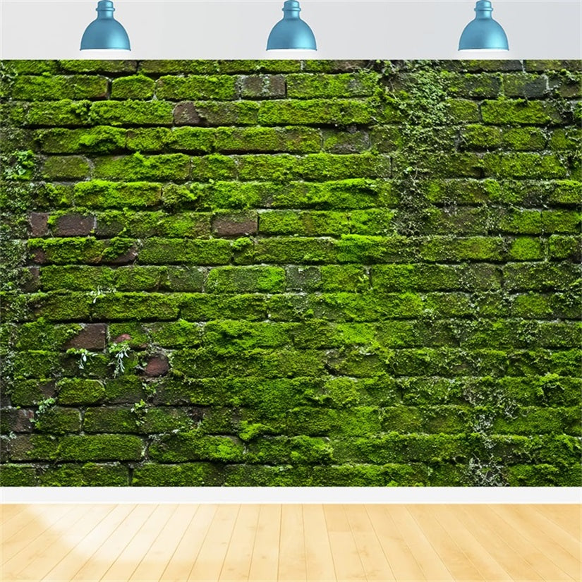 Ziegelsteinwand-Studiohintergründe Grünes Moos Vintage-Wand Ziegelstein-Fotohintergrund TWW59-185
