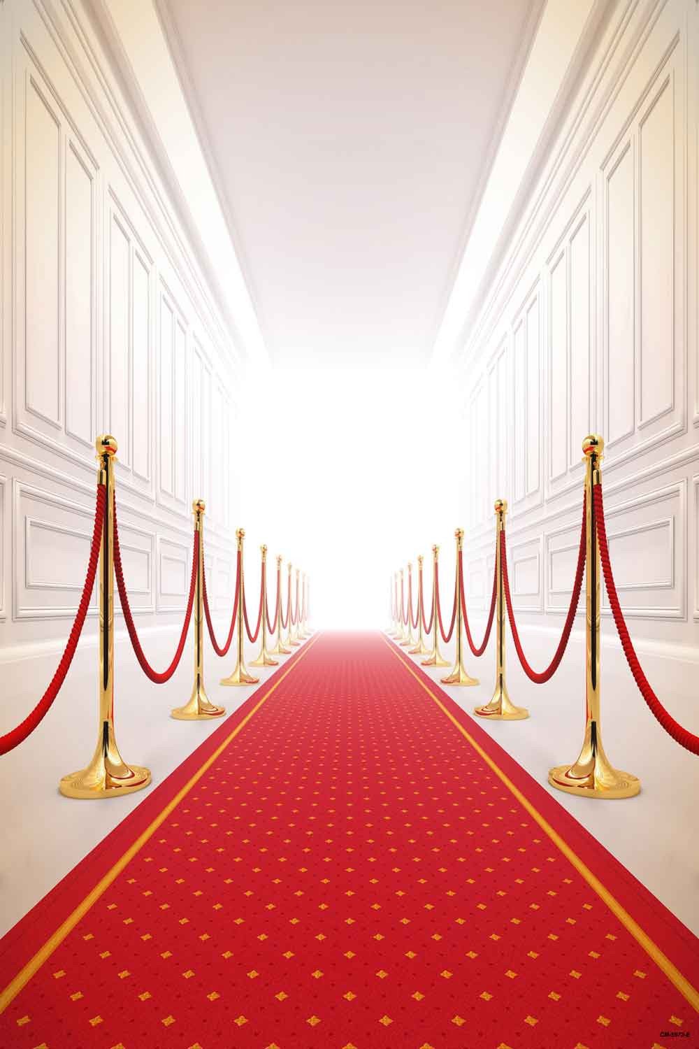 Red Carpet Backdrops Party Background Wall Backdrop