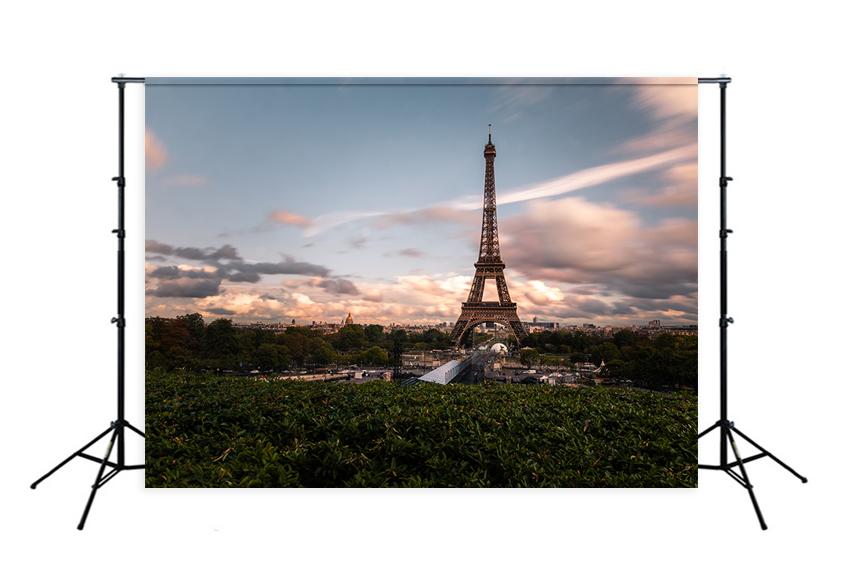 Paris Eiffel Tower City Landscape Backdrop for Photography D119