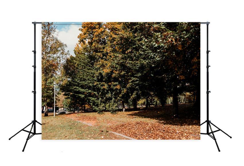 Autumn Yellow Fallen Leaves Park Tree Photography Backdrop D346