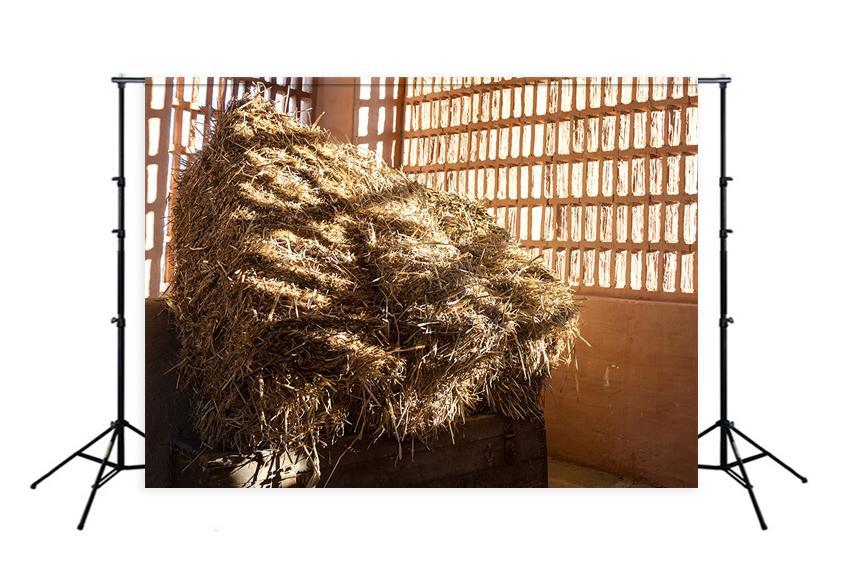 Barn Straw Hay Sunshine Farm Photography Backdrop D416