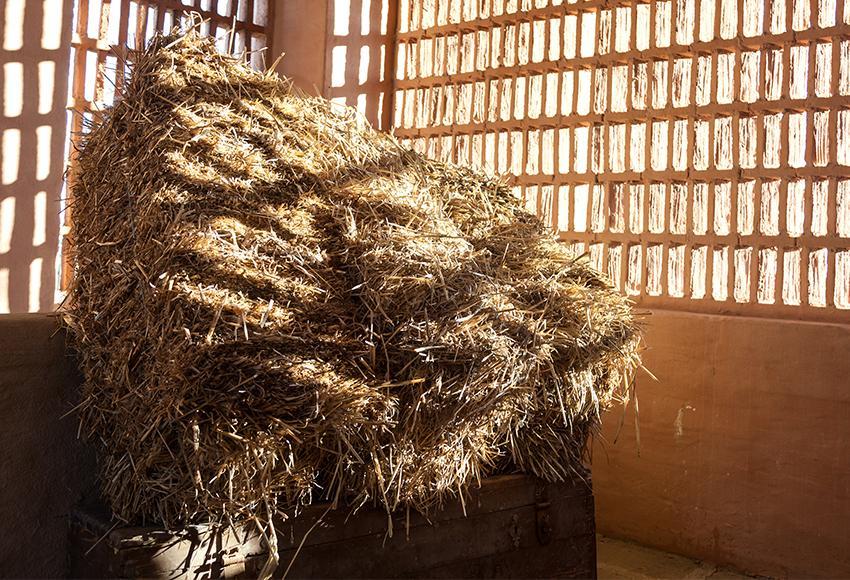 Barn Straw Hay Sunshine Farm Photography Backdrop D416