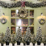 Weihnachtsbaum-Shop-Fotografie-Hintergrund-D917